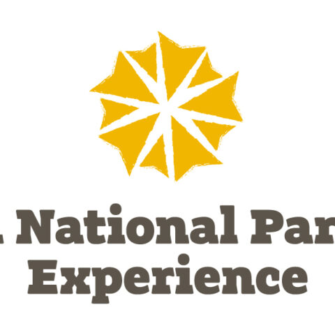 Broads National Park Experiences